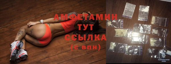 сатива Богородицк