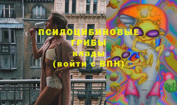 марки lsd Бородино