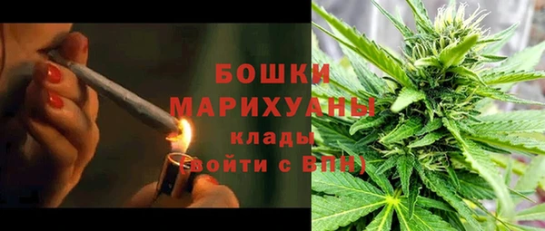 сатива Богородицк