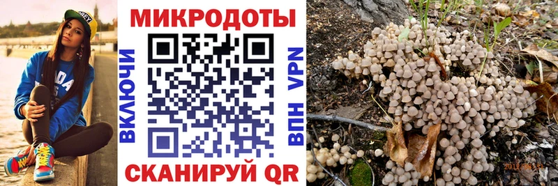 Галлюциногенные грибы Cubensis  Разумное 